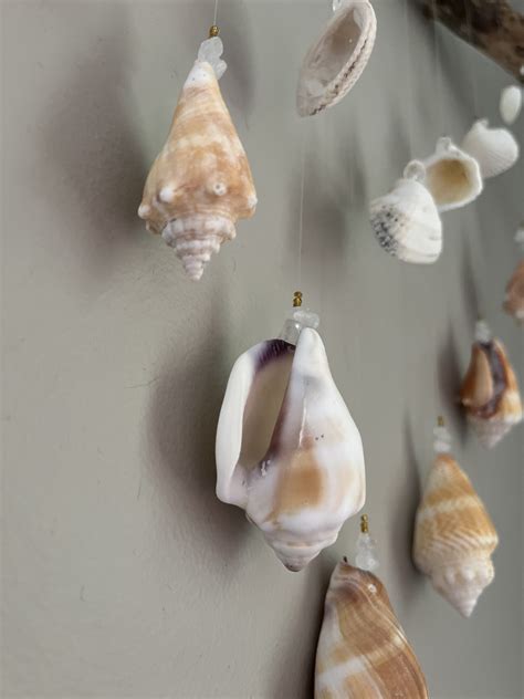 Seashells, Seashell Art, Ocean Art, Beach Shells, Florida Island Shells ...