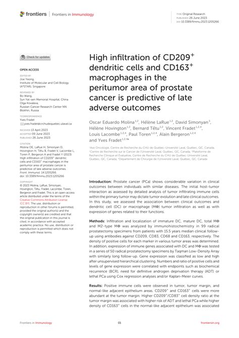 PDF High Infiltration Of CD209 Dendritic Cells And CD163