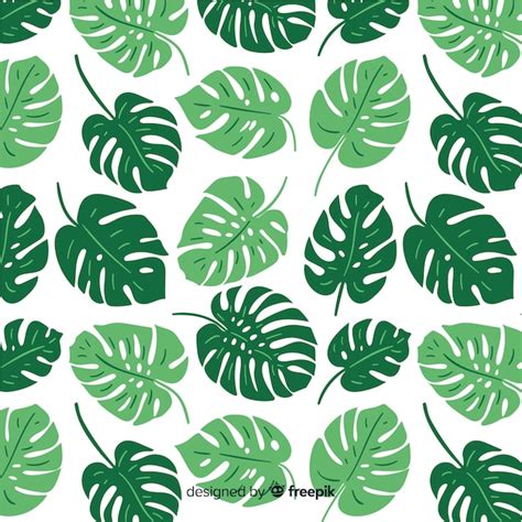 Patr N Hojas De Monstera Dibujadas A Mano Vector Premium