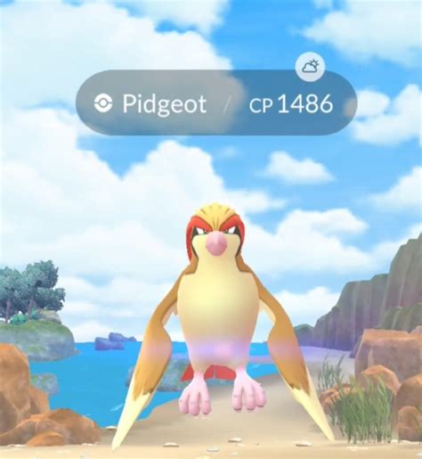 Mega Pidgeot Raid Tips How To Easily Defeat And Catch Pidgeot In