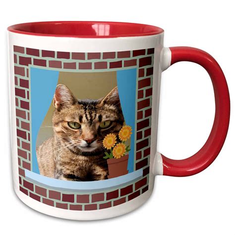 3drose, Cat in a Window - Animal, Moggie, Tabbies, Tabby Cat, Cat, Cats