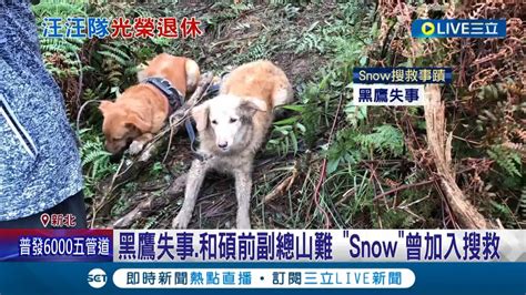 人氣超 汪 服役9年搜救犬snow退役開放認養 曾獲 最萌人氣獎 還順利考上高等犬 參與多場重大任務支援│記者 凌毓鈞 戴偉臣│【live大現場】20230223│三立新聞台 Youtube