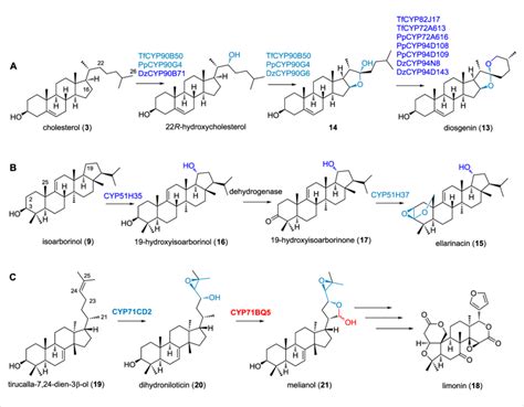 Recent Examples Of Multifunctional Cyps In Triterpenoid And Steroid Download Scientific Diagram