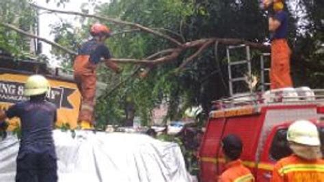 Hujan Disertai Angin Kecang Dahan Pohon Tumbang Timpa Mobil Dan Warung