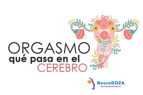 ¿qué Sucede En El Cerebro Cuando Tenemos Un Orgasmo Neurodoza