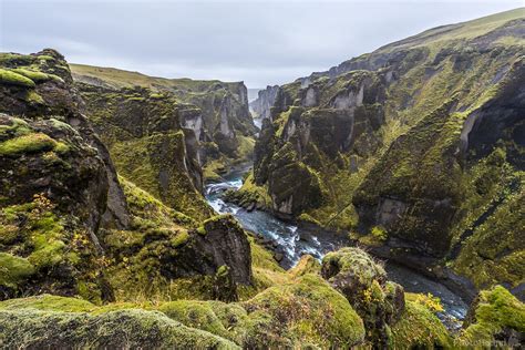 Image of Fjaðrárgljúfur Canyon | 1008651