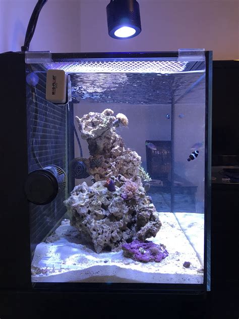 Innovative Marine Fusion 40 Set Up Nano Reef Journals Nano Reef