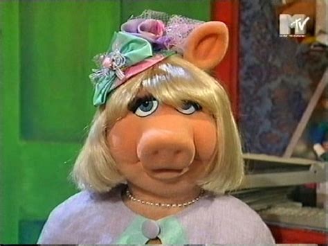 Miss Piggy Through The Years Miss Piggy The Muppet Movie Piggy