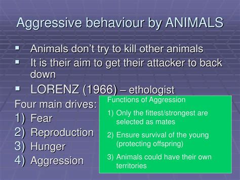 evolutionary explanations  human aggression powerpoint
