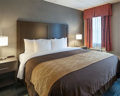 Comfort Inn Ballston Arlington, Virginia, US - Reservations.com