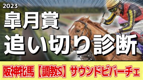 【皐月賞2023】追い切り評価《調教推奨馬はアノ馬たち》 アギョウトレセン