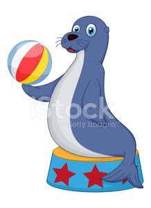 Cute Circus Seal Playing A Ball Stock Vector Royalty Free Freeimages