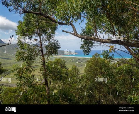 Views Across Wilsons Promontory From The Lilly Pilly Gully Circuit