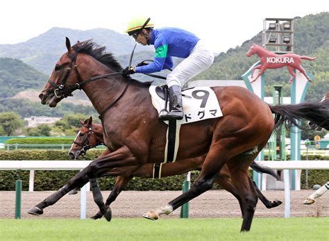 【小倉5r・2歳新馬戦】ドグマが直線一気v キタサンブラック産駒初の新馬勝ち Umatoku 馬トク