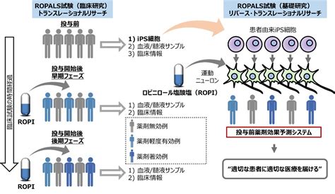 【慶應義塾】ips細胞創薬と医療ビッグデータ が導くalsの新たな治療薬開発 慶應義塾のプレスリリース