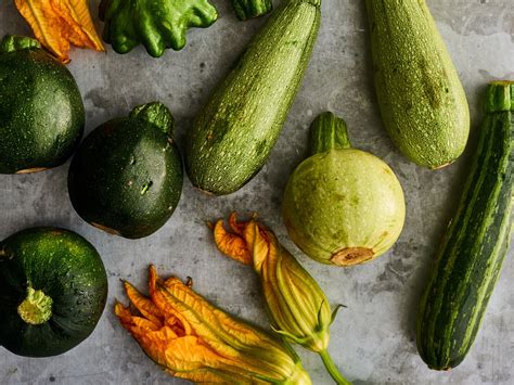 Why Is My Zucchini Slimy Greenthumbsguide