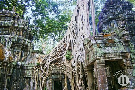 Los Templos De Angkor Gu A Completa Con Mapa Los Dos Viajeros