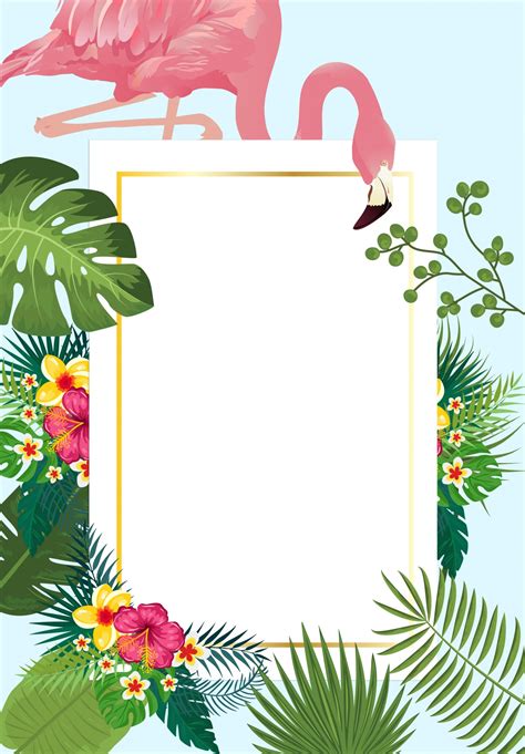 carte dinvitation tropicale flaming photo stock libre public domain