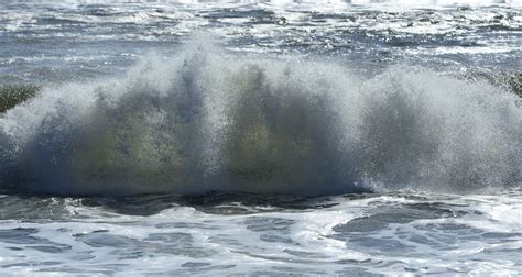 Assateague Island National Seashore Va — Jim Clark Photography