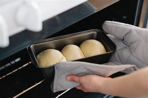 5 Best Bread Ovens for Home Bakers: Find the Perfect Oven for Your ...