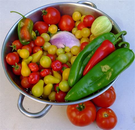 Four Top Vegetables for Container Gardens - Sanctuary Soil