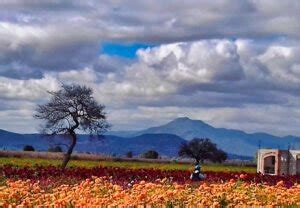 8 Rincones Del Valle Del Mezquital Para Conocer