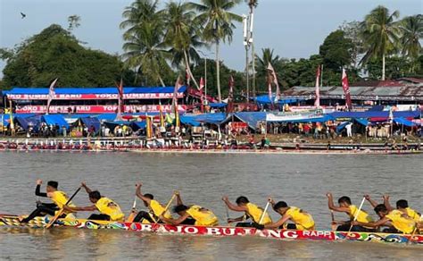 Cerita Di Balik Meriahnya Pacu Jalur Tradisi Sakral Kuansing Jadi Iven