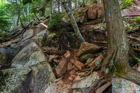 Pemetic Mountain Photos Page Joe S Guide To Acadia National Park