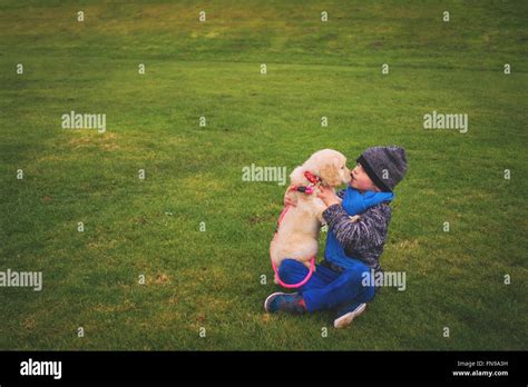 Boy kissing his golden retriever puppy dog Stock Photo - Alamy