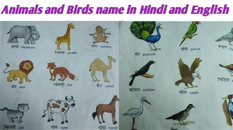 Animals and birds name in Hindi and English//Names of Animals and Birds
