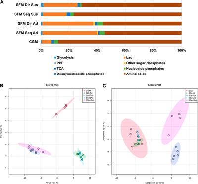 Frontiers The Impact Of Serum Free Culture On HEK293 Cells From The