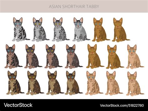 Asian shorthair tabby cat clipart all coat colors Vector Image