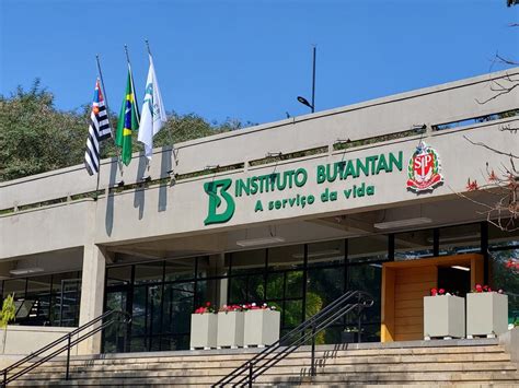 Butantan relata resultados positivos da vacina única contra Covid 19 e