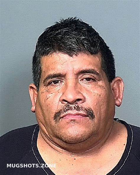 Santos Martinez Fermin Manatee County Mugshots Zone