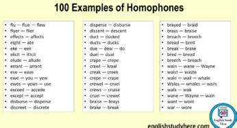 Homophones Archives English Study Here Worksheets Library