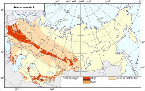 Agroatlas Pests The Area And Damage Zones Of Aelia Acuminata L