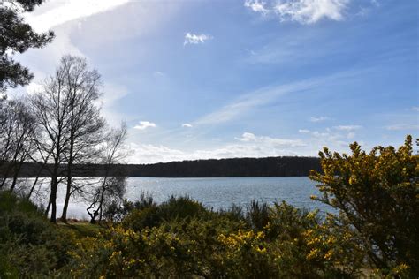 Brocéliande : visite, forêt, légende, carte, une journée, en ce moment ...