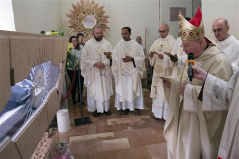 Carlo Acutis Santo Il Vescovo Assisi Si Prepara Alla Canonizzazione