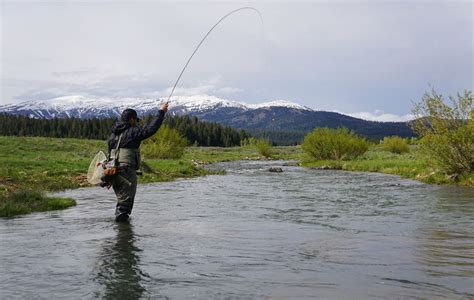 Summer Activities | Eagle Ridge Ranch