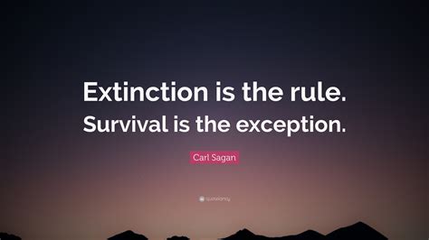 Carl Sagan Quotes (100 wallpapers) - Quotefancy