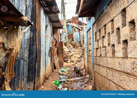 Kibera Slum in Nairobi. Kibera is the Biggest Slum in Africa Editorial ...