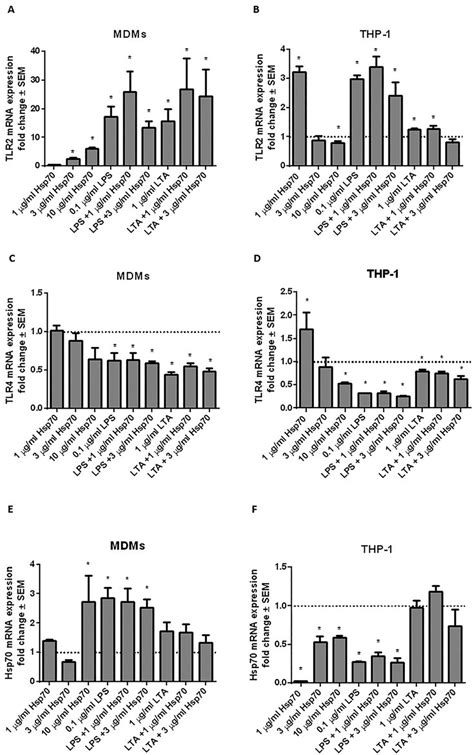 Expression Of Tlr Tlr And Hsp Mrna In Mdms A C E And Thp Cells