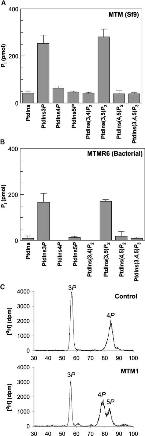 Figure From Phosphatidylinositol Phosphate Activation And Conserved