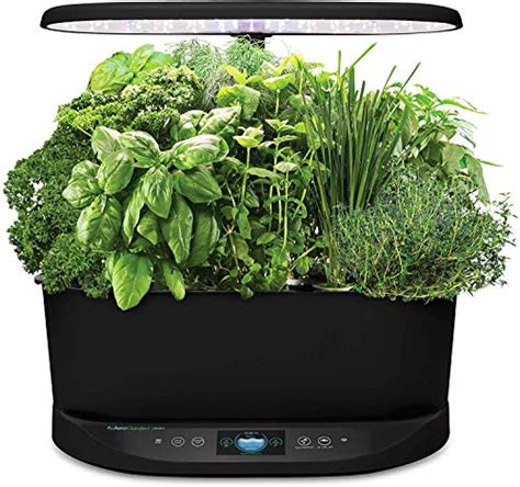 Best AeroGarden Review & Guide | 2020 Edition | Green Thumb Gardener