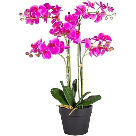 Amazon De Homescapes Deko Kunstblume Orchidee Creme Gesteck Im