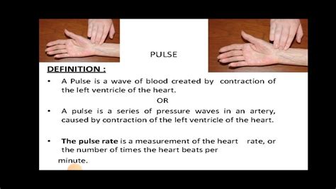 Definition Of Pulse Neet Physiology Anatomy Jenparh Jenpauhmcq