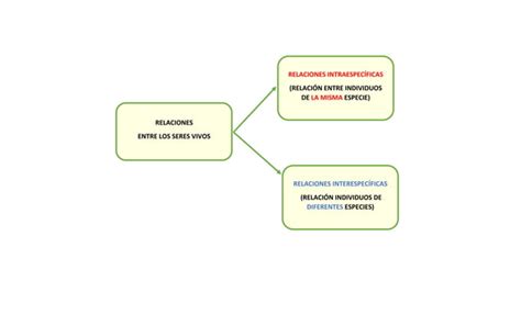 Mapa Conceptual De Las Relaciones Entre Los Seres Vivos InterespecÍficas E IntraespecÍficas