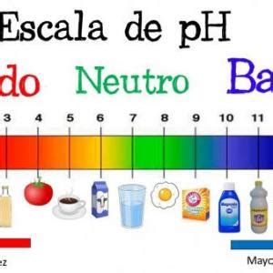 Determinación de pH en líquidos corporales Ocas Juego educativo