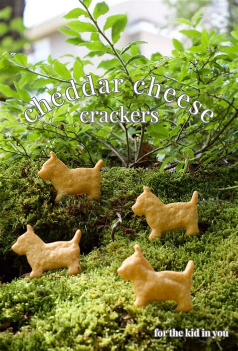 homemade cheddar cheese crackers - The Culinary Chase