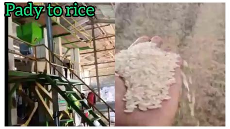 Rice Mill Selep Padi Penggilingan Padi Modern Sisitem Transmisi Mesin